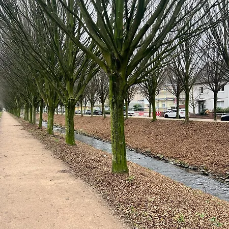 شقة Wiembachallee